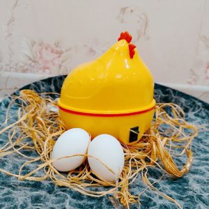 تخم‌مرغ پزبرقی